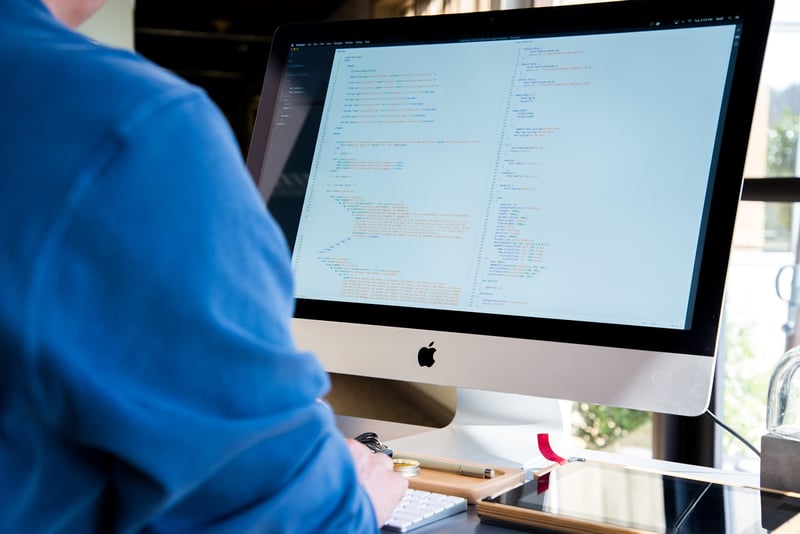 Developer Programmer